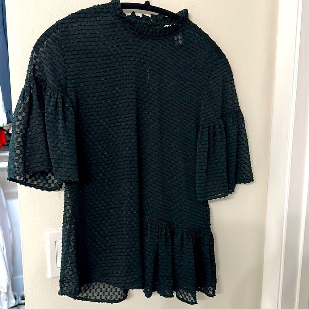 H&M - Sheer Bell sleeve blouse